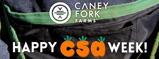 Celebrating National CSA Week: Supporting Local Farmers, Nourishing Our Community