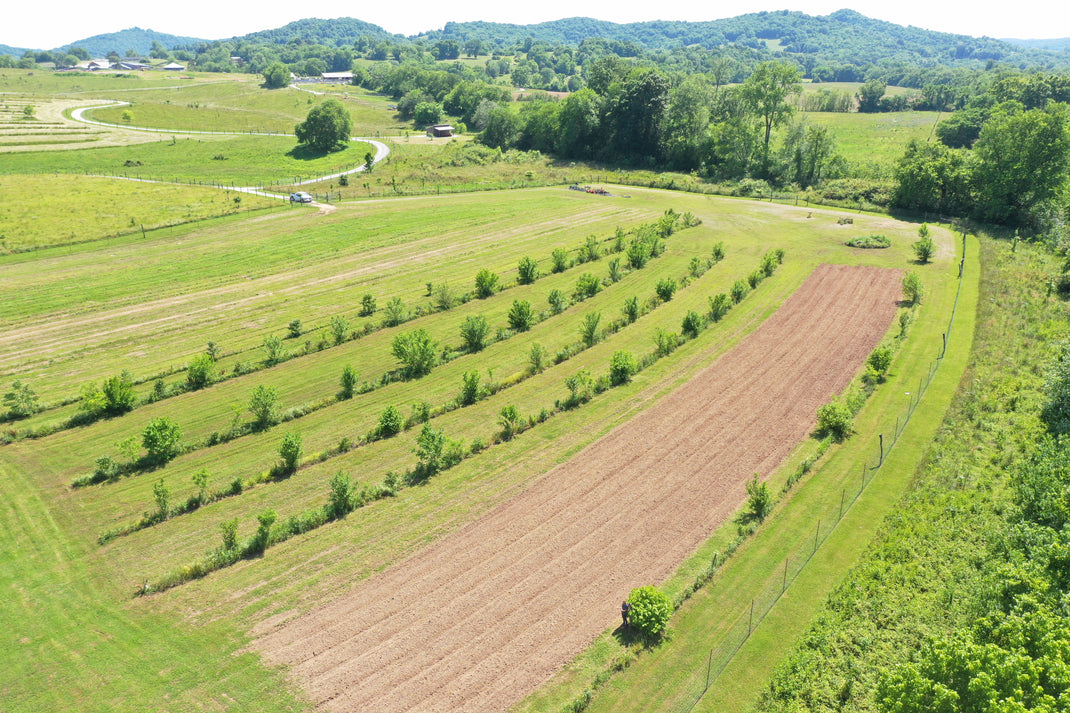 Agroforestry – Caney Fork Farms