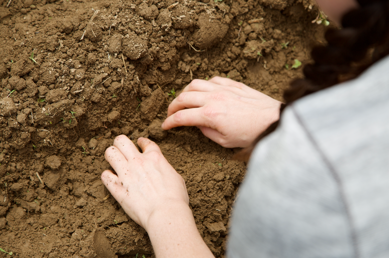 The Soil Microbiome