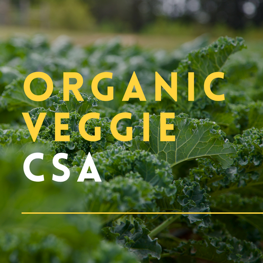 Organic Veggie CSA