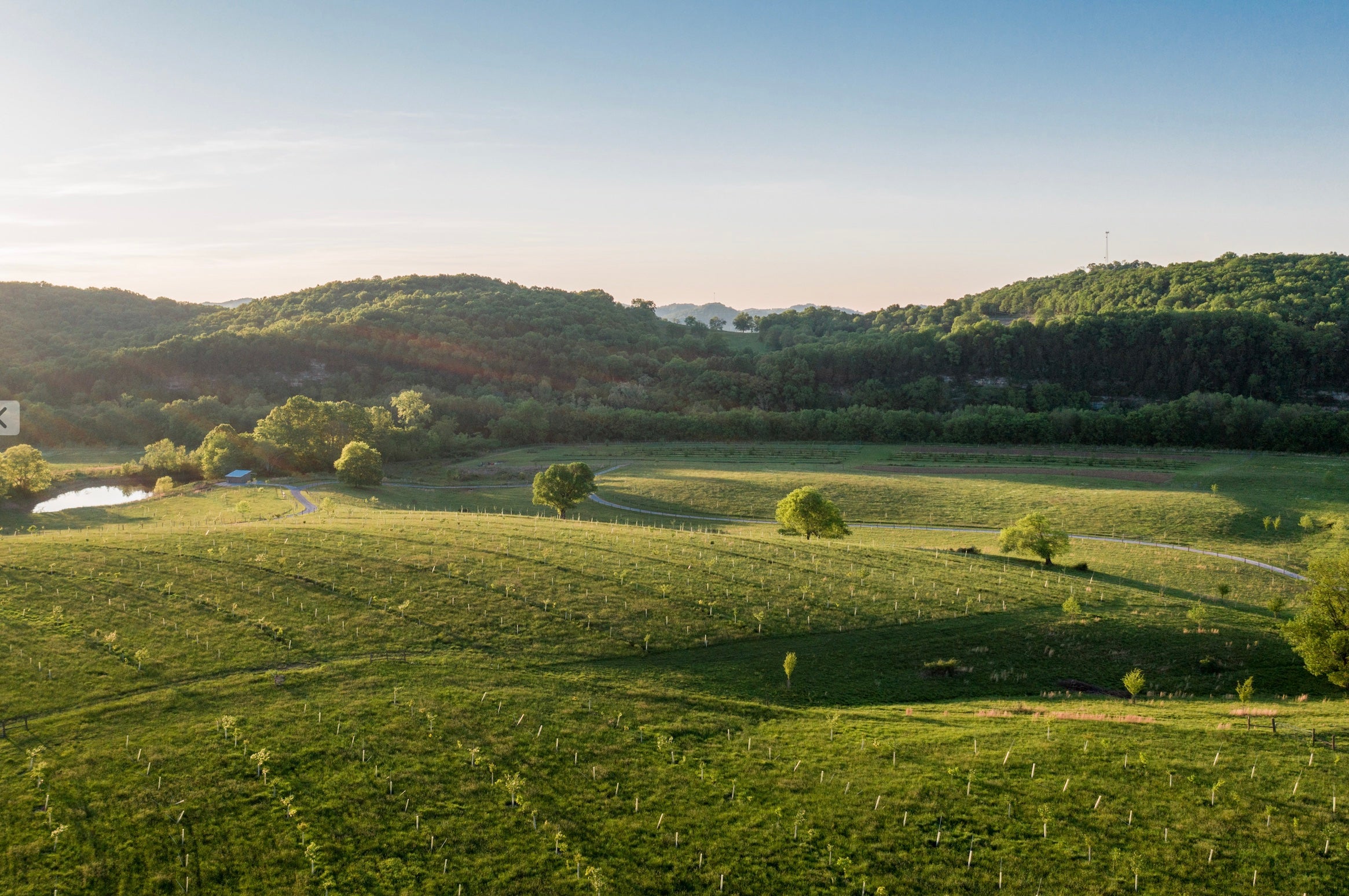 Regenerating Land in Middle Tennessee with Organic Farms