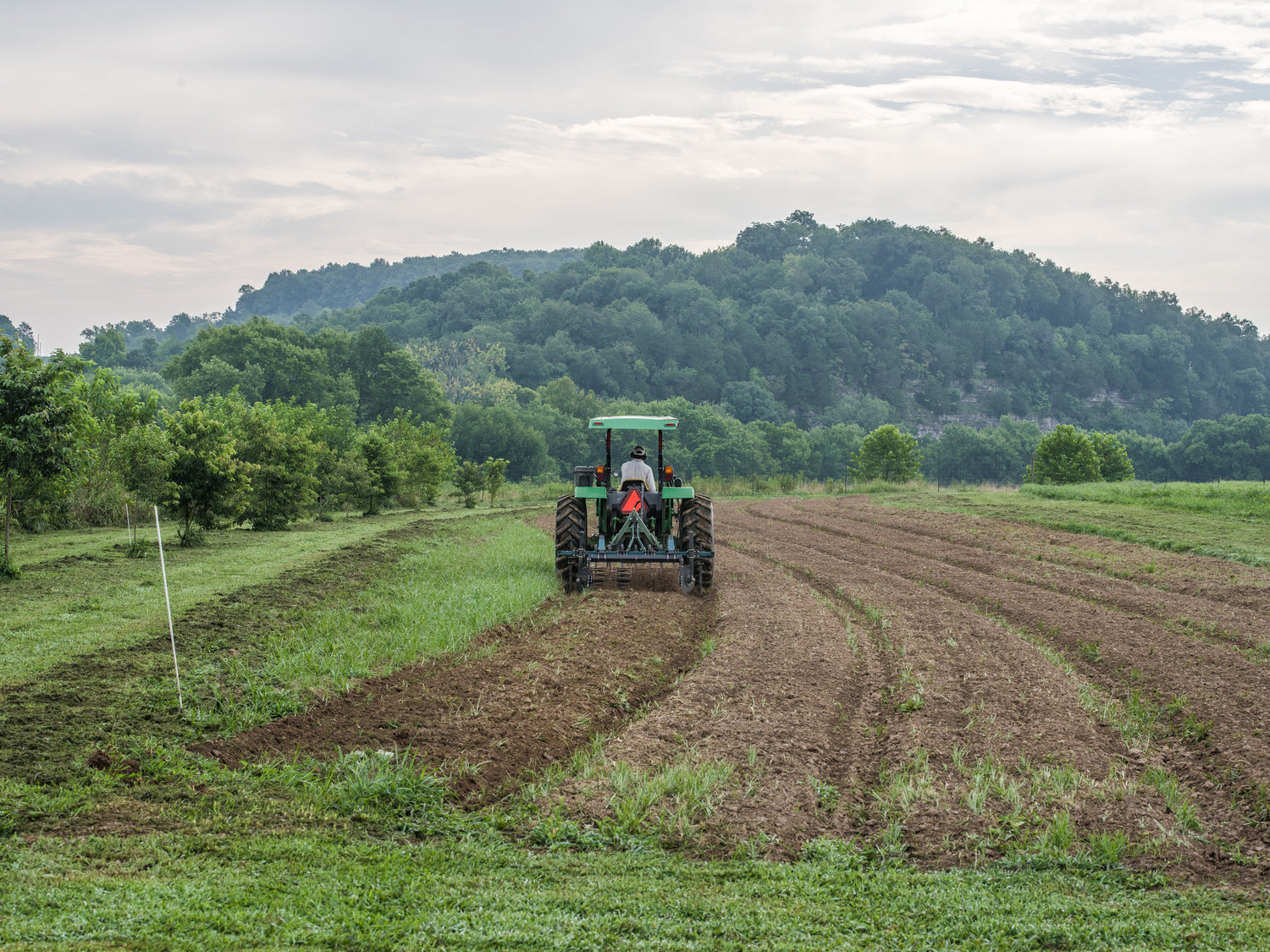 Field-Scale Production